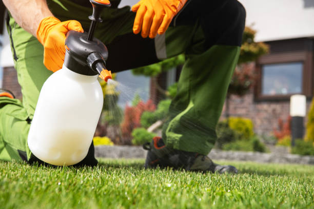 Best Exterminator Services  in Royalton, IL