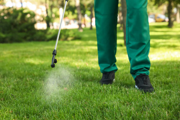 Best Mosquito Control Services  in Royalton, IL