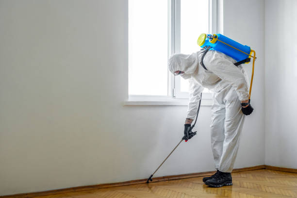 Best Pest Removal Services  in Royalton, IL