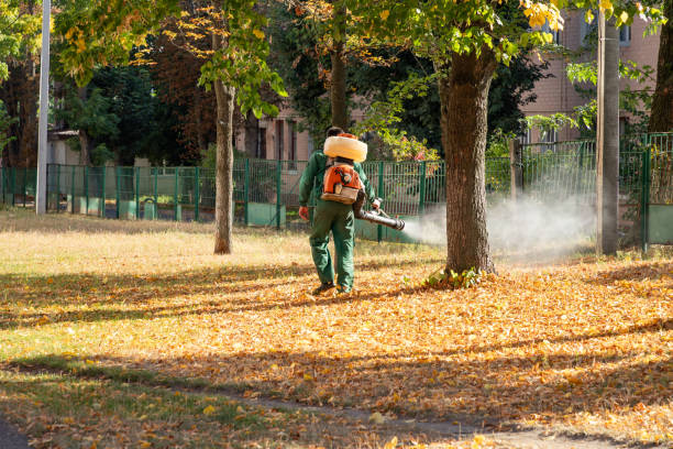 Best Commercial Pest Control Services  in Royalton, IL